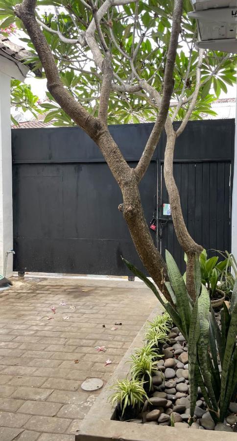 Chic And Cozy * Canggu (Bali)